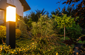 New Home 42 Garden Light Installation: How to Light a Garden So It Comes Alive After Dark